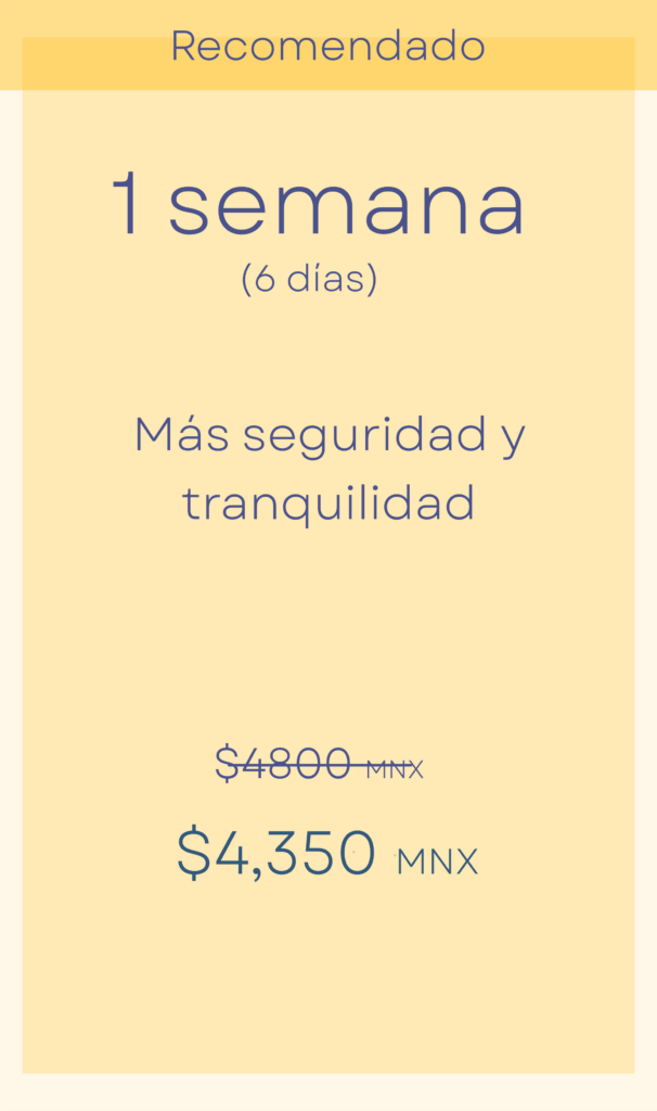 Contrata plan de asistencia virtual recomendado. Plan de 1 semana. Más seguridad y tranquilidad.